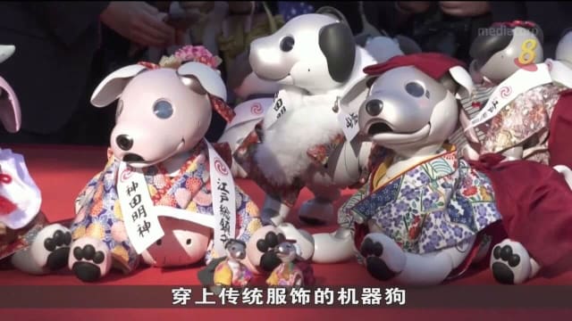 东京神社另类祈福活动 机器狗同主人提前欢庆七五三节