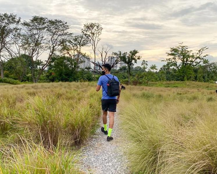 CNA explores Singapore on foot (Day 1): The lone tree and the longer-than-expected walk 