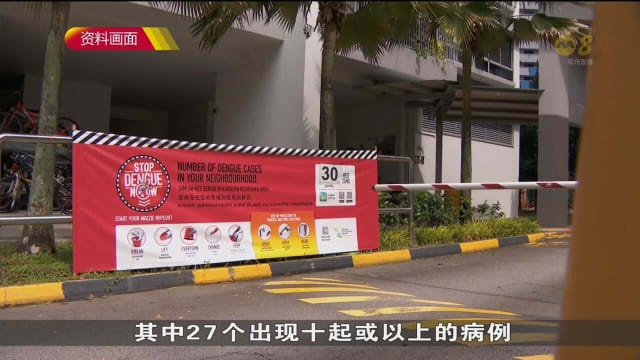 本地骨痛热症病例反弹 上周新增460起病例