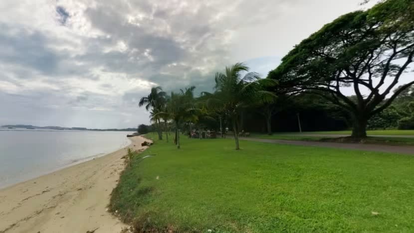 Pantai Pasir Ris selamat untuk berenang selepas mutu air bertambah baik Pantai Pasir Ris selamat untuk berenang selepas mutu air bertambah baik