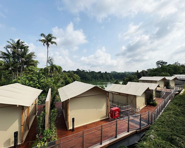 Mandai Wildlife Reserve launches Colugo Camp, a luxury camping space with buffets and guided tours 