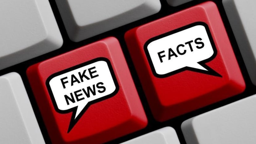 S'poreans too passive over fake news, more education needed on calling out falsehoods: IPS study