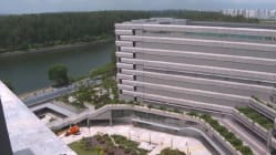 Related article image