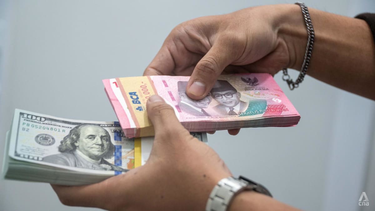 Commentary: Indonesia hits the panic button over t