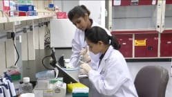 Related article image