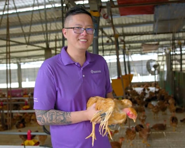 Fresh off the boat: Singapore’s chicken supplies get a boost, in a world of food disruptions