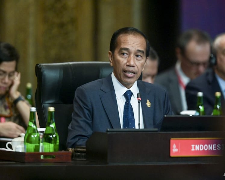 'We must not allow the world to fall into another Cold War': Indonesia's Jokowi at G20 summit