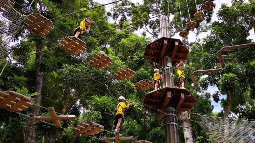 Singapore student's rope course death raises questions over volunteer instructors in outdoor education sector Singapore student's rope course death raises questions over volunteer instructors in outdoor education sector