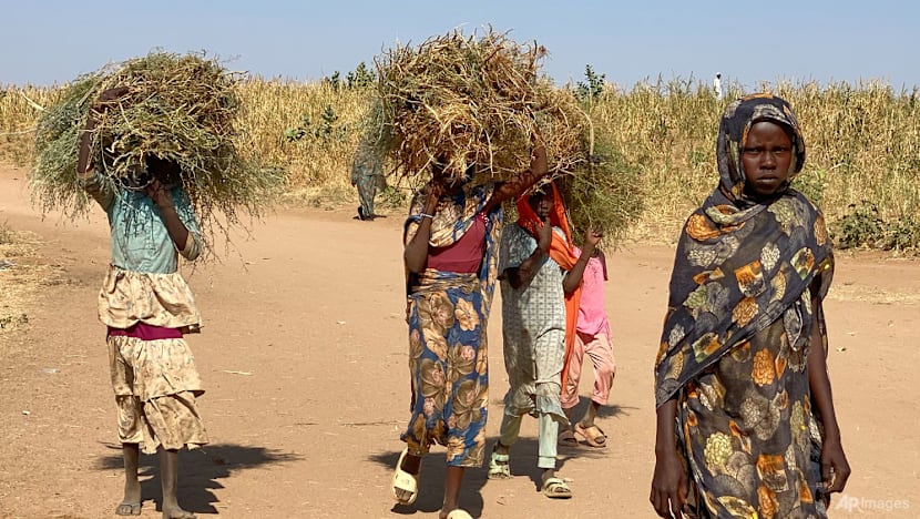 Families separated, children killed as survivors flee Sudan’s ‘apocalyptic’ El-Fasher