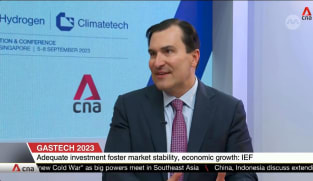 We are in a global gas market and no event stays confined in one part of the world: IEF