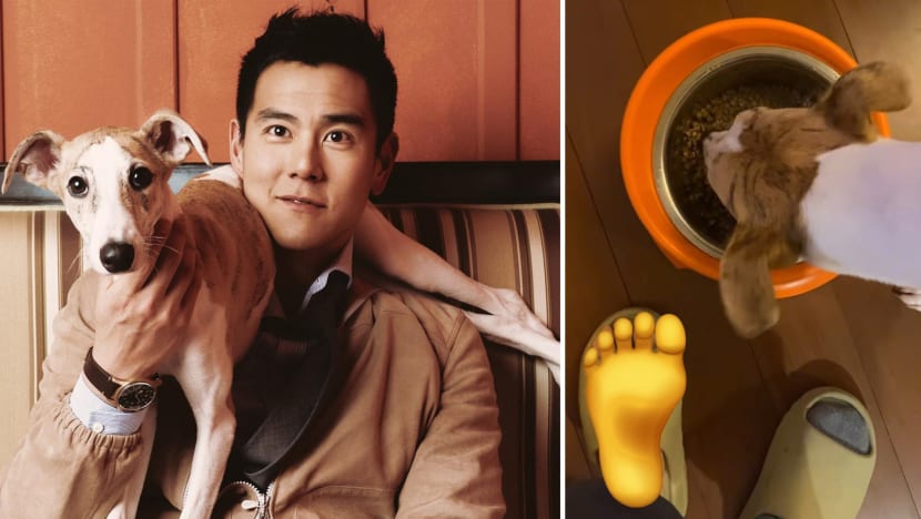 eddie_peng_toe