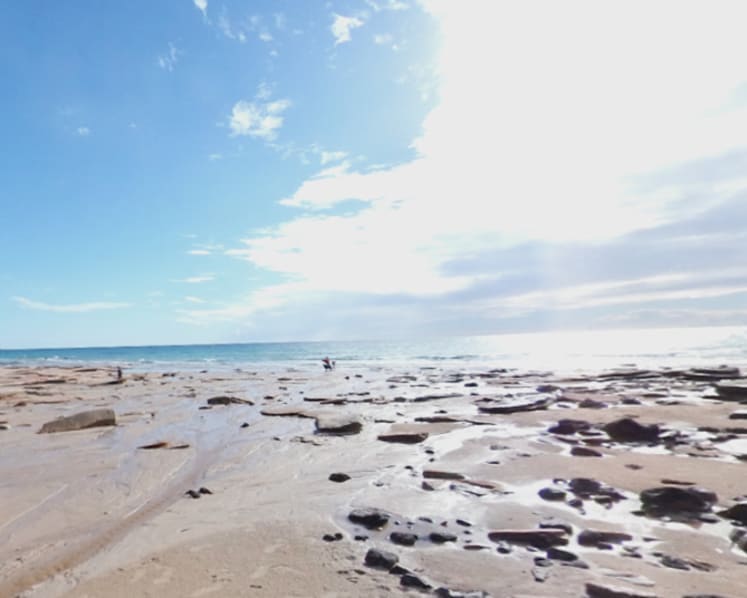 Man dies in shark attack in Western Australia