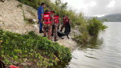 Related article image