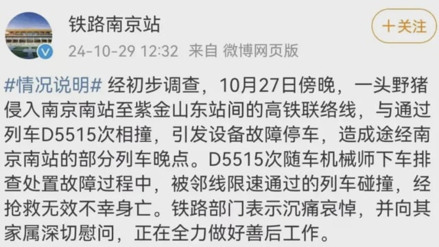 中国南京南站酿悲剧 机械师处理野猪侵线时遭撞毙