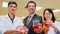 Related article image