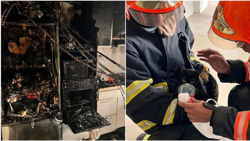Infant taken to hospital, two cats rescued following fire at Jurong East flat Infant taken to hospital, two cats rescued following fire at Jurong East flat