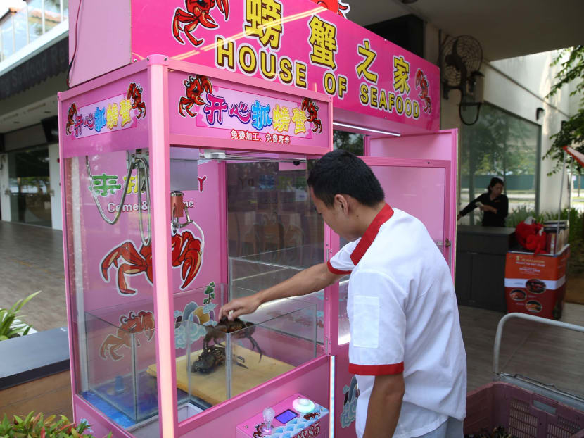 Over the past week, from 5pm to 10pm daily, customers who visited the House of Seafood at Punggol Point Road could pay S$5 to use the claw machine. Over the past week, from 5pm to 10pm daily, customers who visited the House of Seafood at Punggol Point Road could pay S$5 to use the claw machine.
