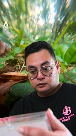 He spent three days searching for his father. He was only 300 metres away.
