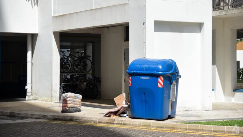 About 72% of Singapore households say they recycle: NEA survey
