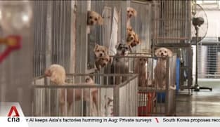 8 commercial tenants at The Animal Lodge unsuccessful in renewing lease 