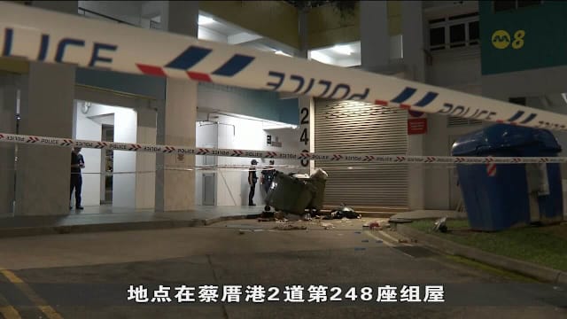 蔡厝港组屋血案 22岁男子在谋杀罪名下被捕