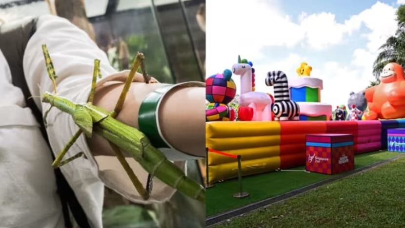 Taman Haiwan SG rai ulang tahun ke-50 dengan jelajah  serangga, jejak 'ZOObilee'