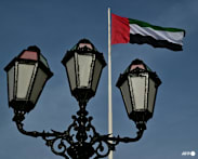 UN experts urge UAE to free British businessman