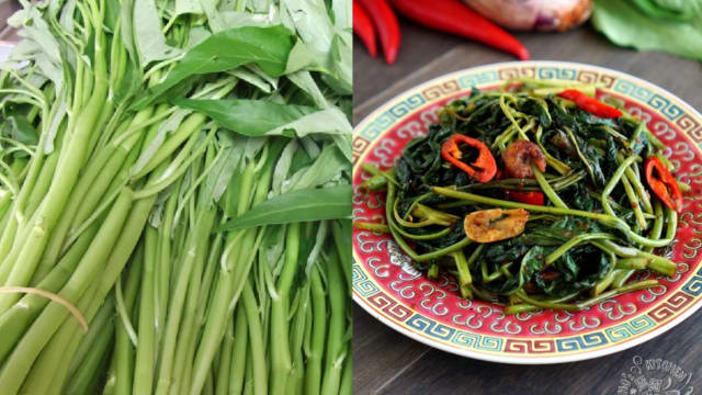 在美国吃不到“马来风光”　蕹菜被列为危险植物
