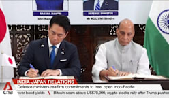 India-Japan relations: Defence ministers reaffirm commitment to free, open Indo-Pacific 