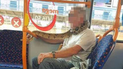 Related article image
