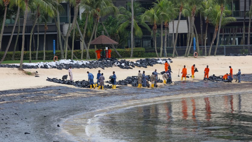 Oil spill: Several beaches, including East Coast Park and Sentosa's Siloso, mostly cleared of oil