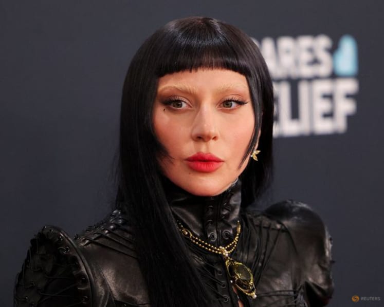 Lady Gaga pauses Tokyo concert to speak out against ICE: 'My heart is aching'