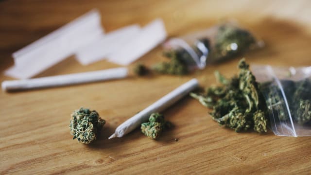 泰国政府将紧急提呈法案 禁止大麻的休闲用途