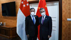 Related article image