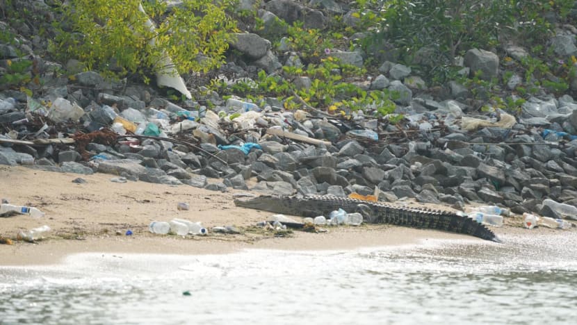Crocodile at Marina East beach that was put down posed 'significant risk' to public safety: Tan Kiat How Crocodile at Marina East beach that was put down posed 'significant risk' to public safety: Tan Kiat How