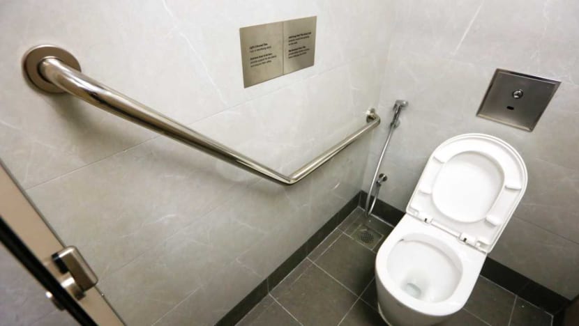 ‘Model’ public toilet launched to encourage better hygiene, improve safety for the elderly
