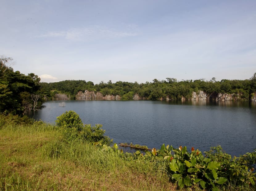 Govt unveils plans to better protect Pulau Ubin