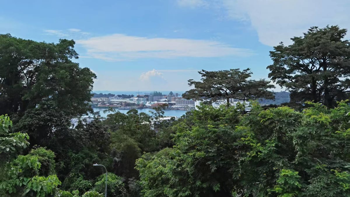 一场名为兰彻的梦——《三傻大闹宝莱坞》观后感 - 8world