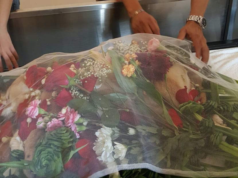 Saying goodbye: Owners go the extra mile for their pet’s final journey