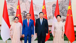 Related article image