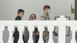 Related article image