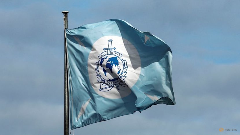 Interpol issues red notice for Indonesia 'gasoline godfather'