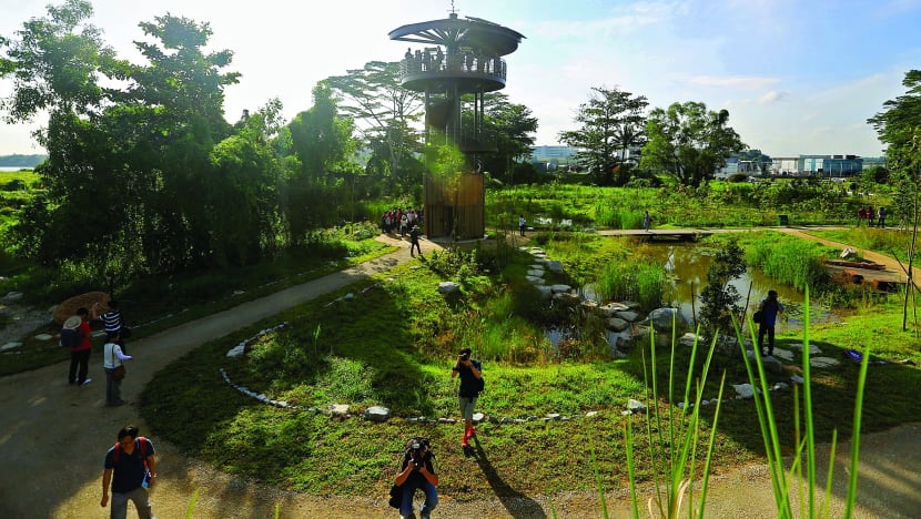 Project aims to quantify worth of forests and marine habitats