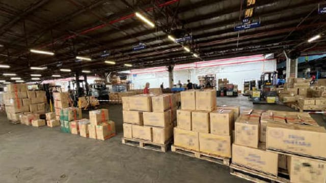 企图走私800公斤蔬菜入境我国 所有蔬菜被充公