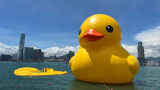大黄鸭返港亮相首日 一只“泄气”一只独游维港