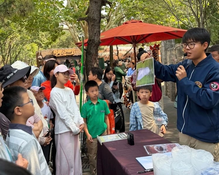Beijing park's holiday caterpillar hunt targets 'forest food monster'
