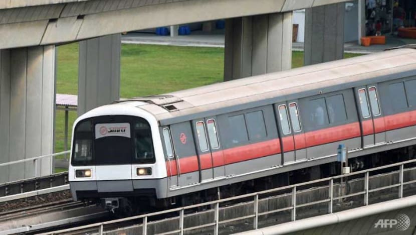 Man admits flashing private parts at woman, repeatedly harassing her on a train during peak hour 