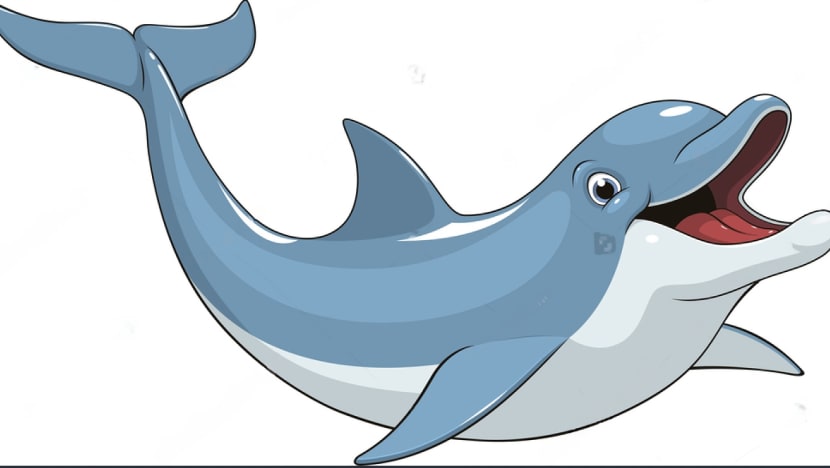 dolphin-transformed