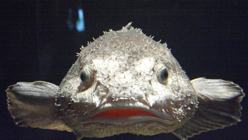 Related article image