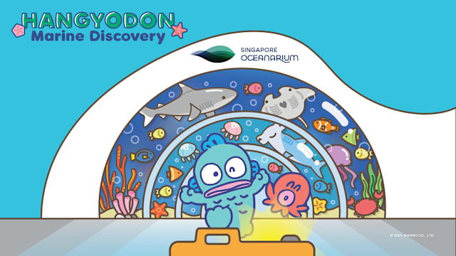 “醜萌”当道,Hangyodon也有专属主题活动,在新加坡海洋生态馆强势登场! “醜萌”当道,Hangyodon也有专属主题活动,在新加坡海洋生态馆强势登场!
